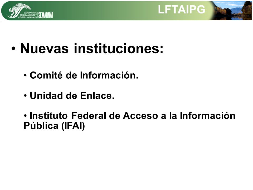 Nuevas instituciones: Comité de Información. Unidad de Enlace.