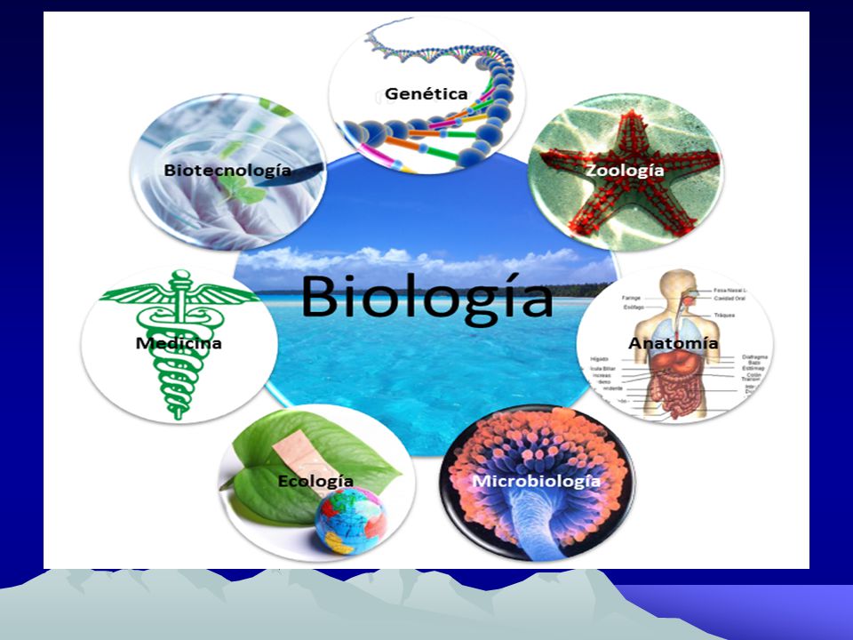 Historia de la Biología - ppt video online descargar