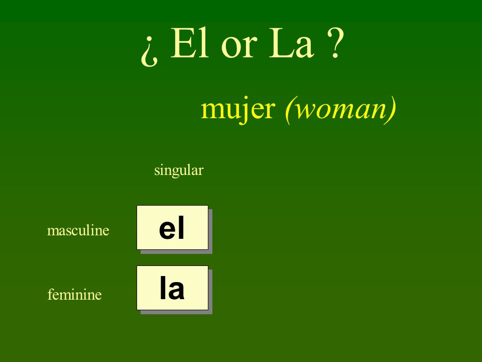 singular masculine feminine el la ¿ El or La mujer (woman)