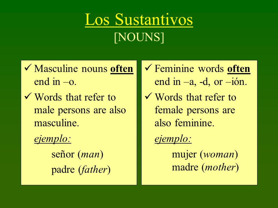 Los Sustantivos Masculine nouns often end in –o.