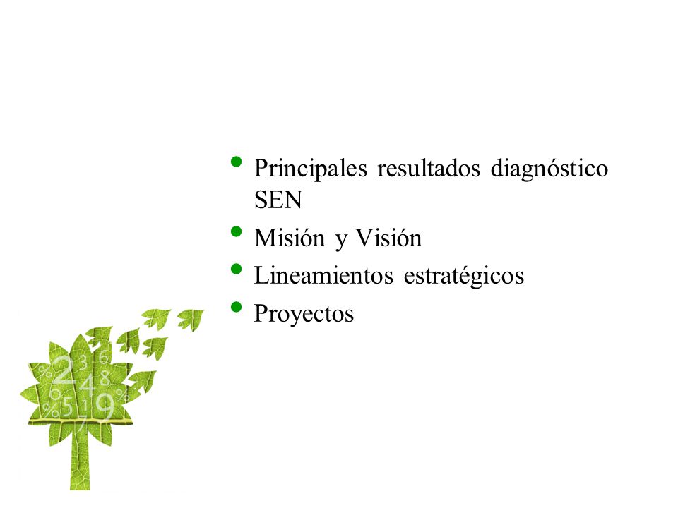 Principales resultados diagnóstico SEN Misión y Visión Lineamientos estratégicos Proyectos