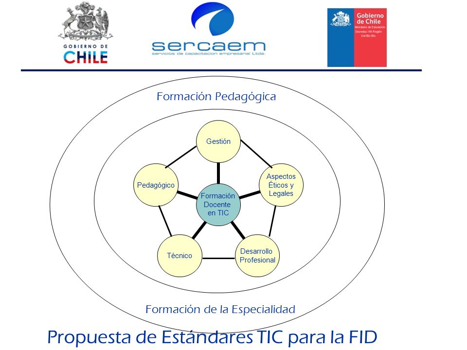Propuesta de Estándares TIC para la FID Formación de la Especialidad Formación Pedagógica