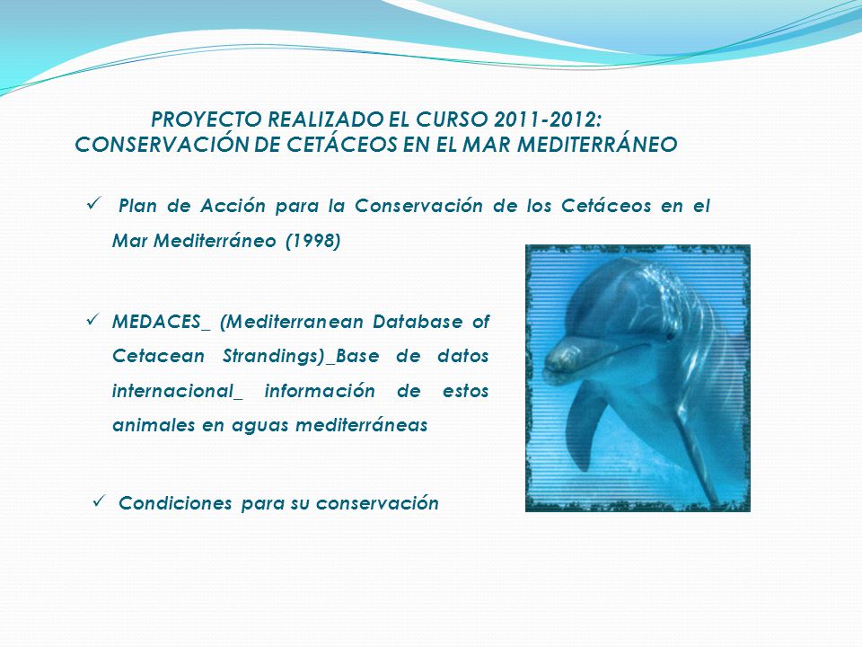 MEDACES_ (Mediterranean Database of Cetacean Strandings)_Base de datos internacional_ información de estos animales en aguas mediterráneas PROYECTO REALIZADO EL CURSO : CONSERVACIÓN DE CETÁCEOS EN EL MAR MEDITERRÁNEO Plan de Acción para la Conservación de los Cetáceos en el Mar Mediterráneo (1998) Condiciones para su conservación