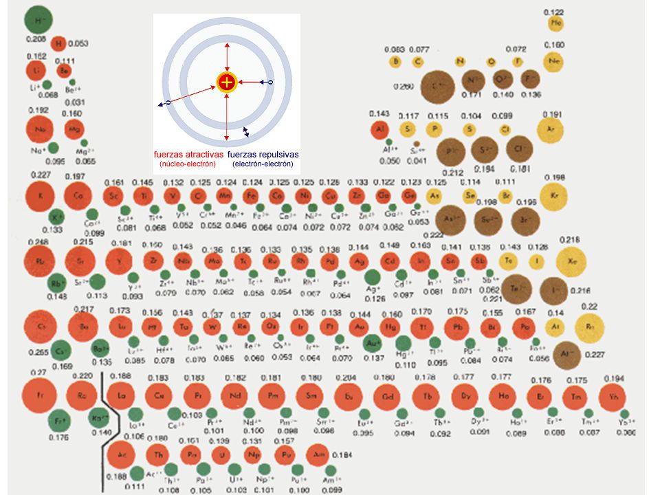 Атомный радиус элемента c. Таблица атомных радиусов химических элементов. Размеры атомов таблица. Радиусы атомов химических элементов. Таблица радиусов атомов химических элементов.