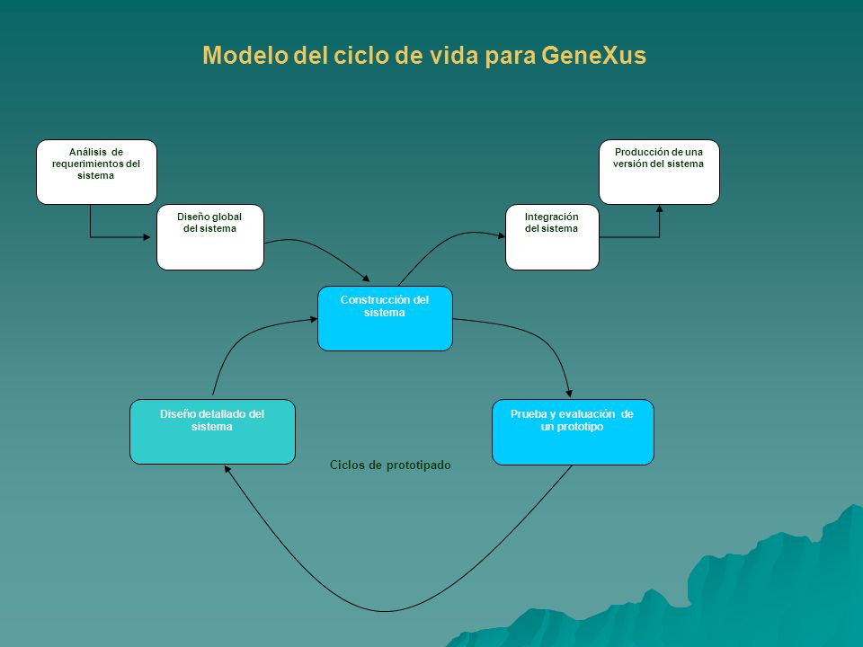 Modelo del ciclo de vida para GeneXus Análisis de requerimientos del sistema Diseño global del sistema Construcción del sistema Diseño detallado del sistema Prueba y evaluación de un prototipo Integración del sistema Producción de una versión del sistema Ciclos de prototipado
