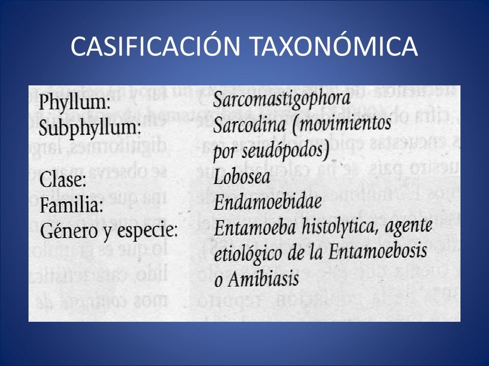 CasificaciÓn TaxonÓmica Entamoeba Histolytica Amebiasis Intestinal Y Extraintestinal Amebiasis 6107