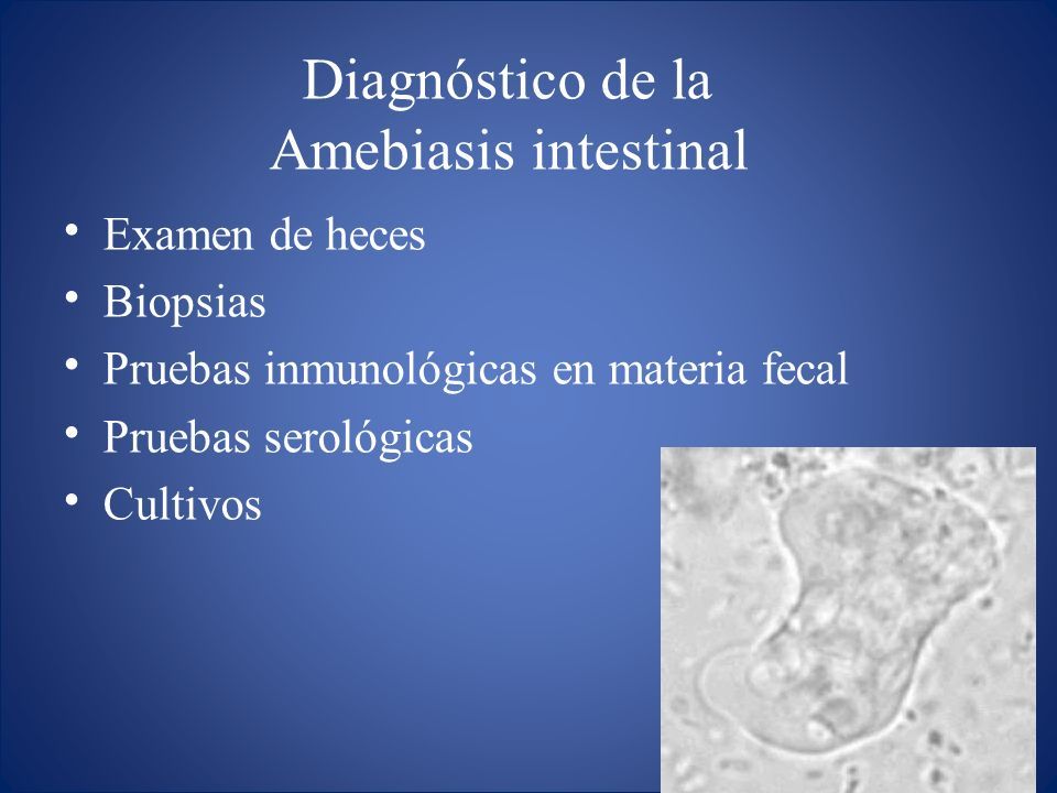 CasificaciÓn TaxonÓmica Entamoeba Histolytica Amebiasis Intestinal Y Extraintestinal Amebiasis 0417