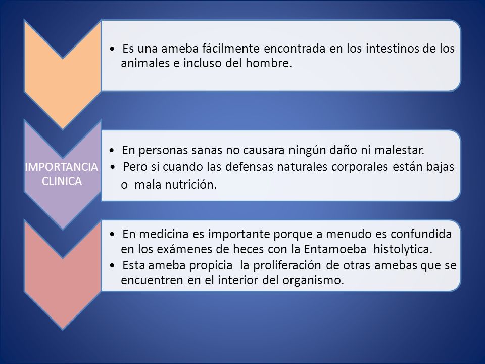 CasificaciÓn TaxonÓmica Entamoeba Histolytica Amebiasis Intestinal Y Extraintestinal Amebiasis 9239