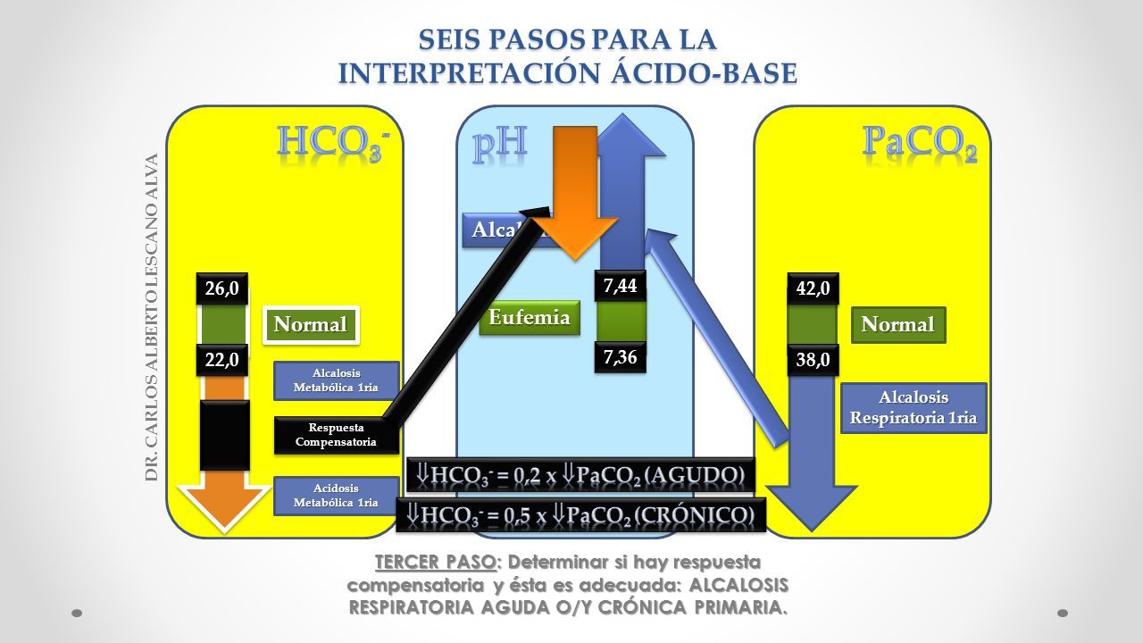 Gases Arteriales Interpretación Ácido Base Dr Carlos Alberto Lescano