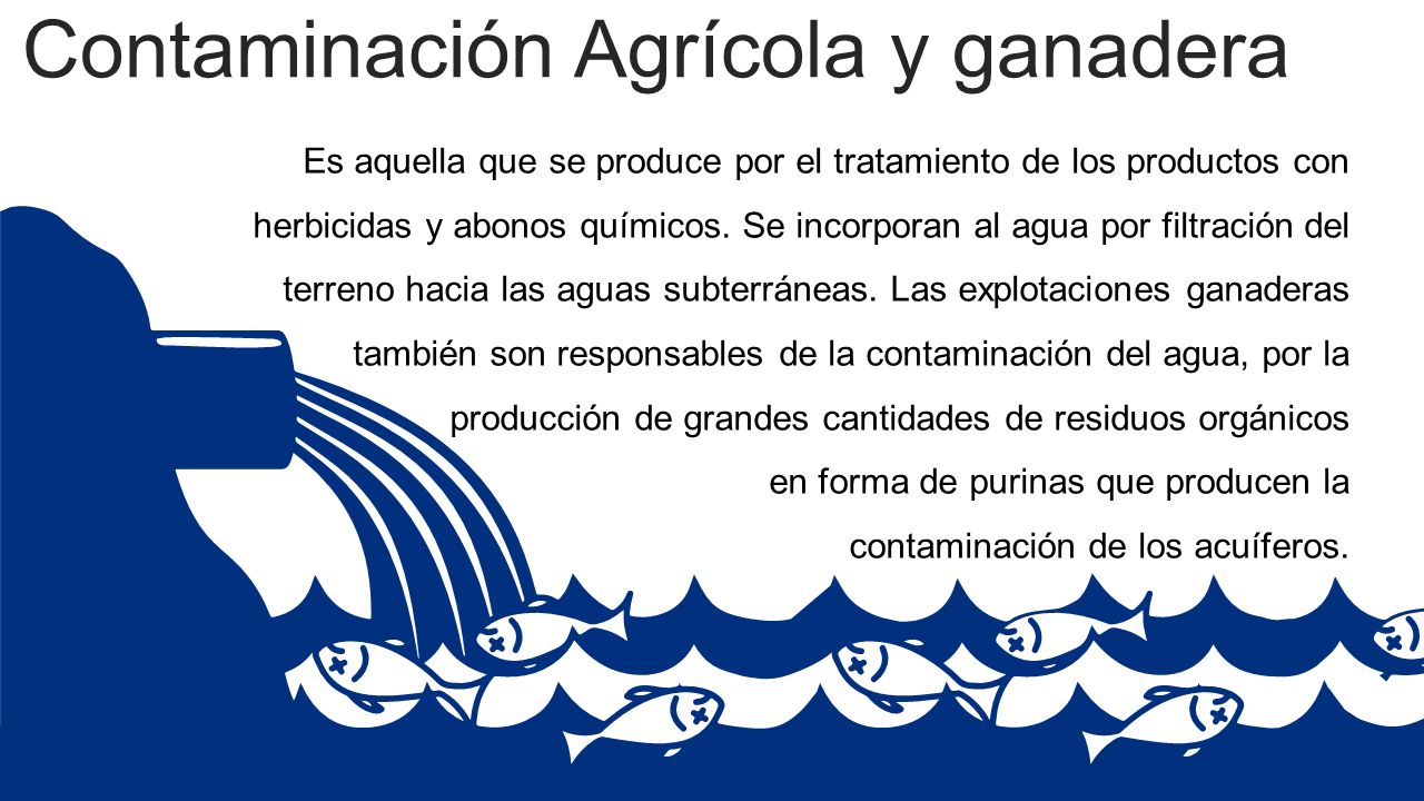 Tipos de contaminación del agua Departamento de Ciencias Naturales ...