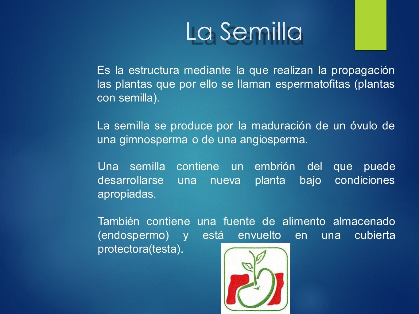 Organografía Vegetal Ppt Descargar 5575