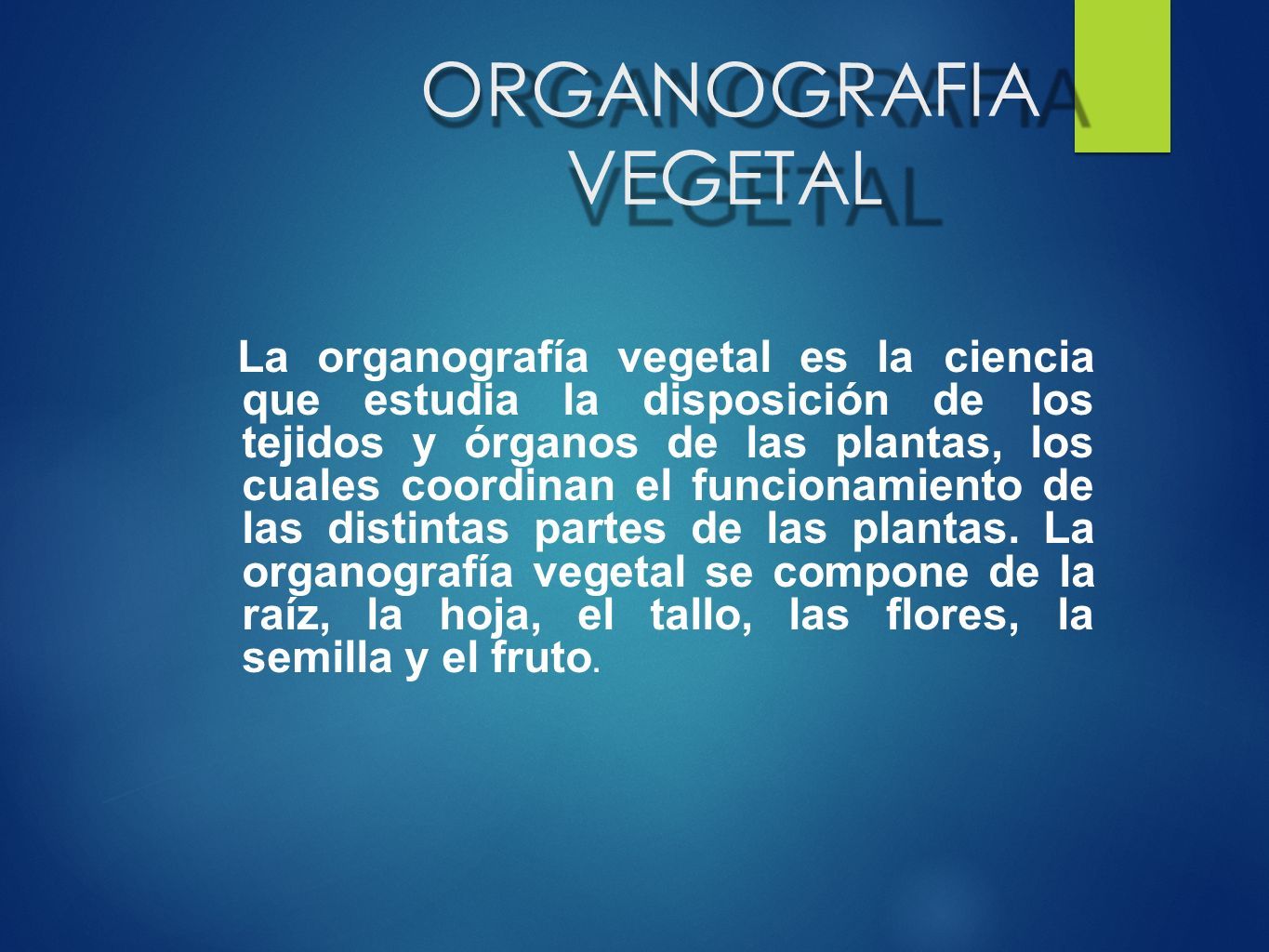 Organografía Vegetal Ppt Descargar 6516