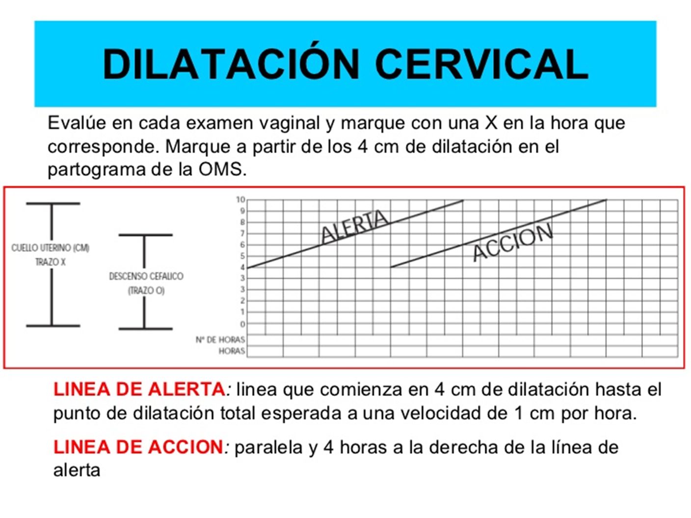 Partograma Oms Modificado GuÍa De UtilizaciÓn Dra Karen Monica Quispe Pelaez Ppt Descargar 5308