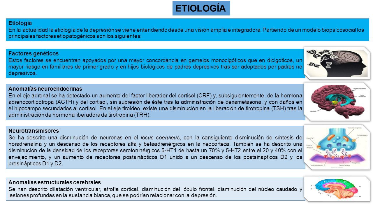 UNIVERSIDAD NACIONAL HERMILIO VALDIZAN . MEDICINA HUMANA MEDICINA  INTERNA DEPRESION EN EL ANCIANO  Falcon, Keyla  Mendoza,  Medalid . - ppt descargar