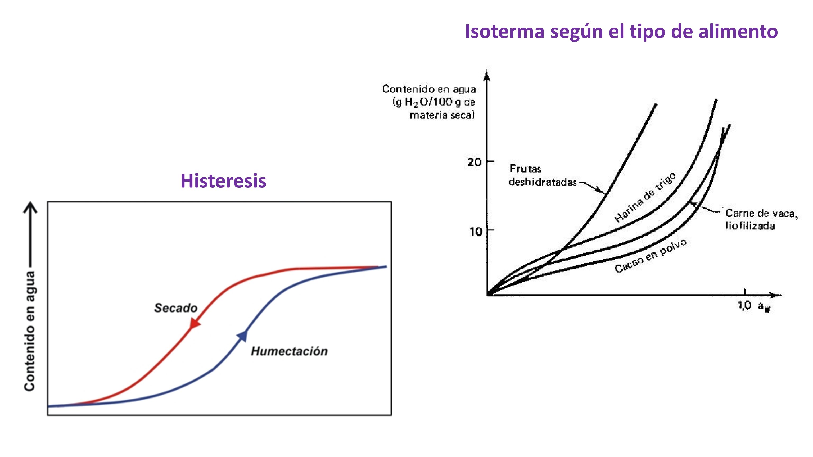 ¿qué Es La Isoterma La Isoterma Es La Representación Gráfica De La Relación Entre Aw Y El