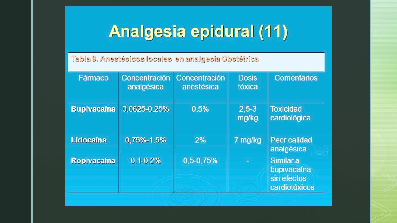 Anestesicos locales Anatomía de los nervios La neurona es la unidad funcional básica