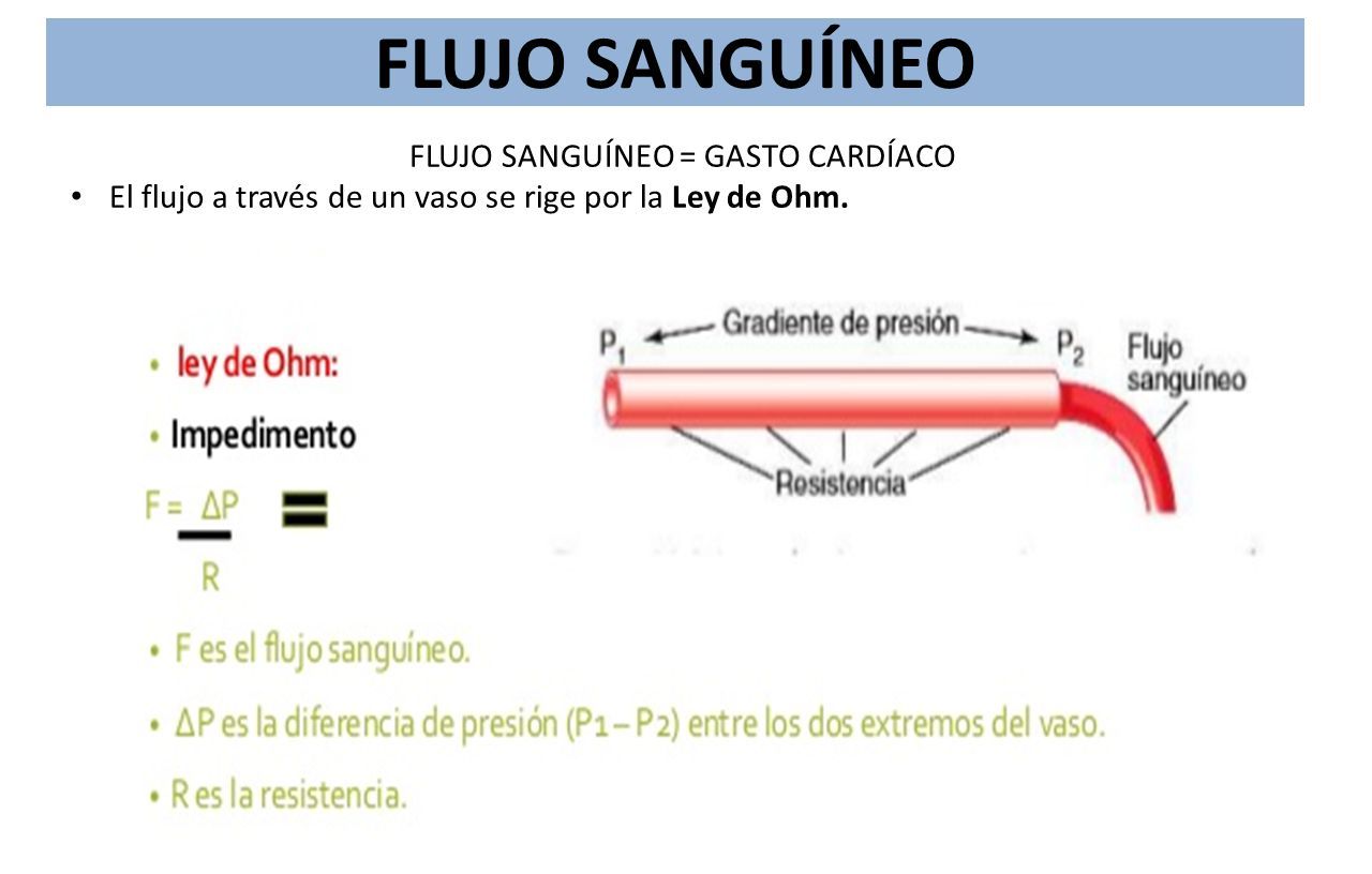 FISIOLOGÍA CARDIOVASCULAR REALIZADO POR: Dra. Fernanda Cueva ...