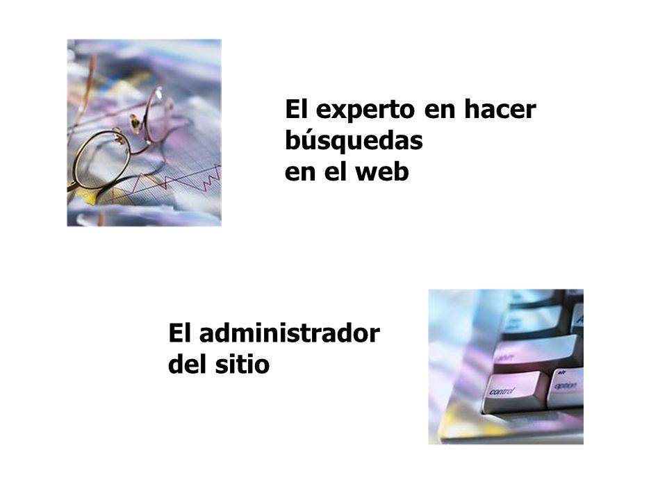 El programador: web y demás lenguajes necesarios El diseñador gráfico y/o web El psicólogo educativo,