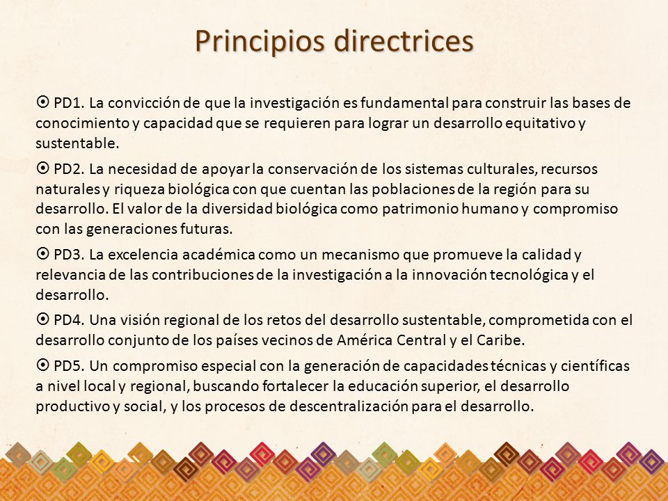 Principios directrices  PD1.