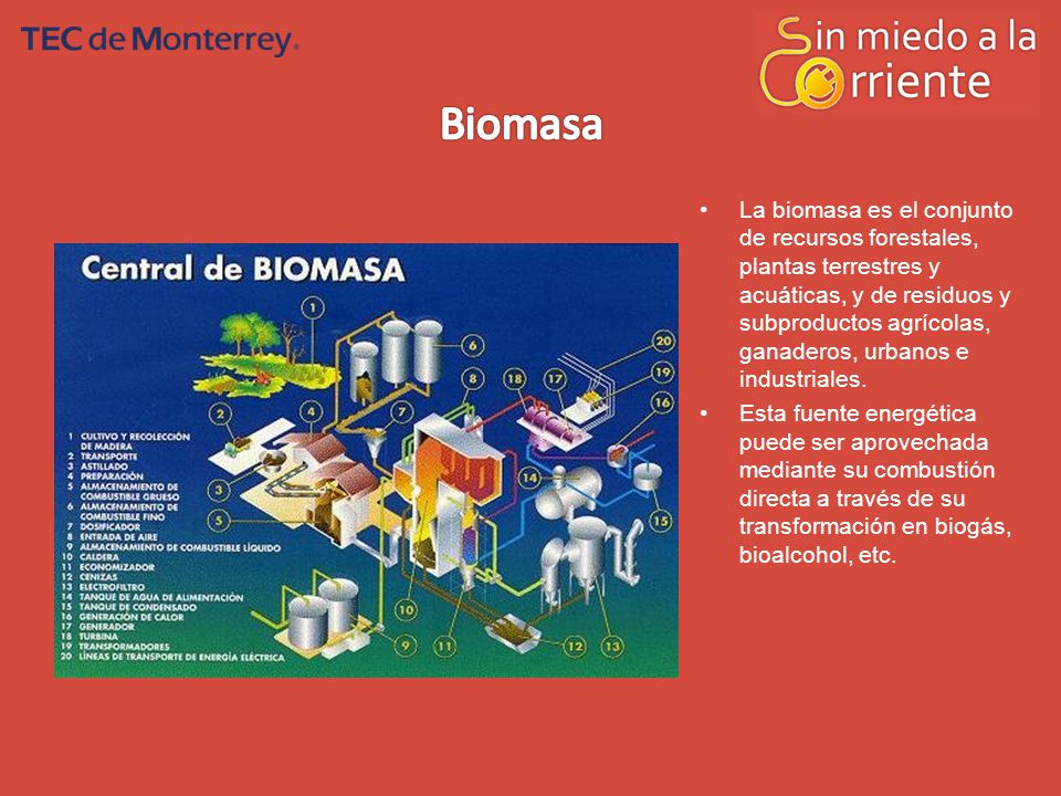 La biomasa es el conjunto de recursos forestales, plantas terrestres y acuáticas, y de residuos y subproductos agrícolas, ganaderos, urbanos e industriales.