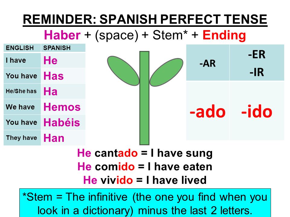 REMINDER: SPANISH PERFECT TENSE Haber + (space) + Stem* + Ending *Stem = The infinitive (the one you find when you look in a dictionary) minus the last 2 letters..