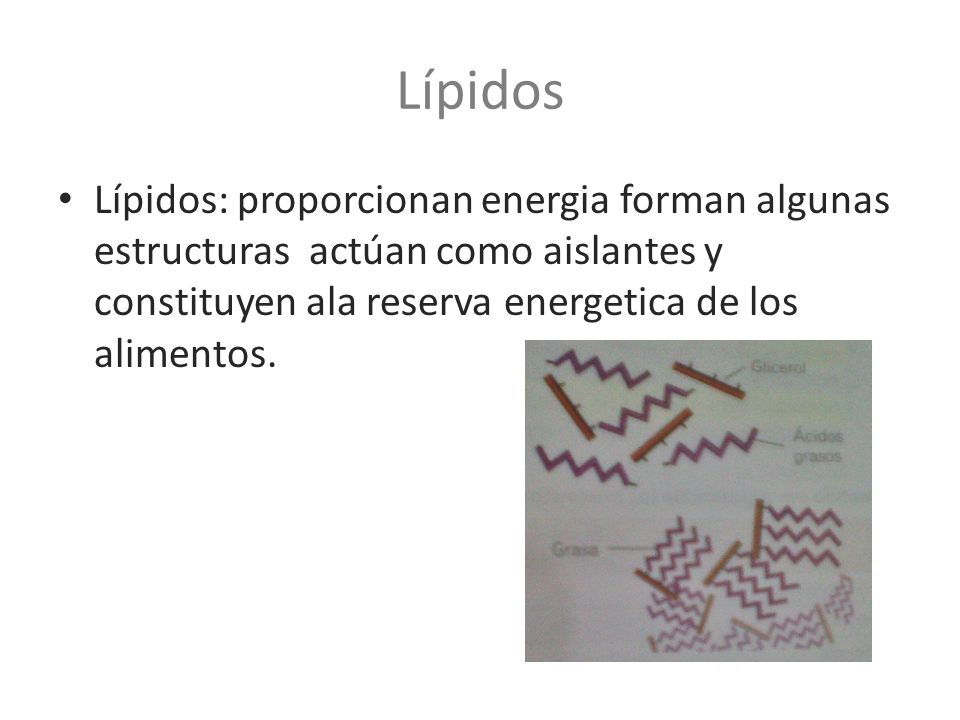 Lípidos Lípidos: proporcionan energia forman algunas estructuras actúan como aislantes y constituyen ala reserva energetica de los alimentos.
