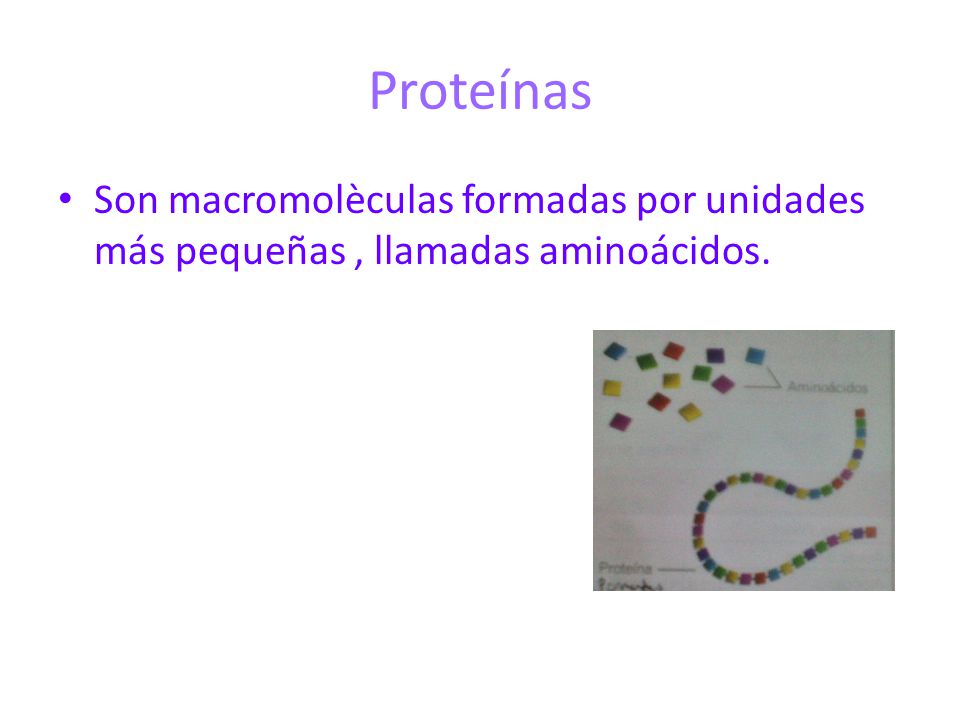 Proteínas Son macromolèculas formadas por unidades más pequeñas, llamadas aminoácidos.