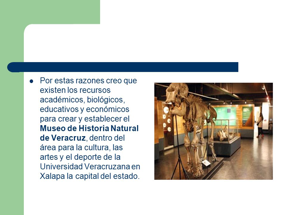 Por estas razones creo que existen los recursos académicos, biológicos, educativos y económicos para crear y establecer el Museo de Historia Natural de Veracruz, dentro del área para la cultura, las artes y el deporte de la Universidad Veracruzana en Xalapa la capital del estado.
