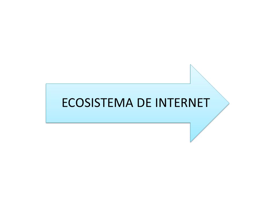 ECOSISTEMA DE INTERNET