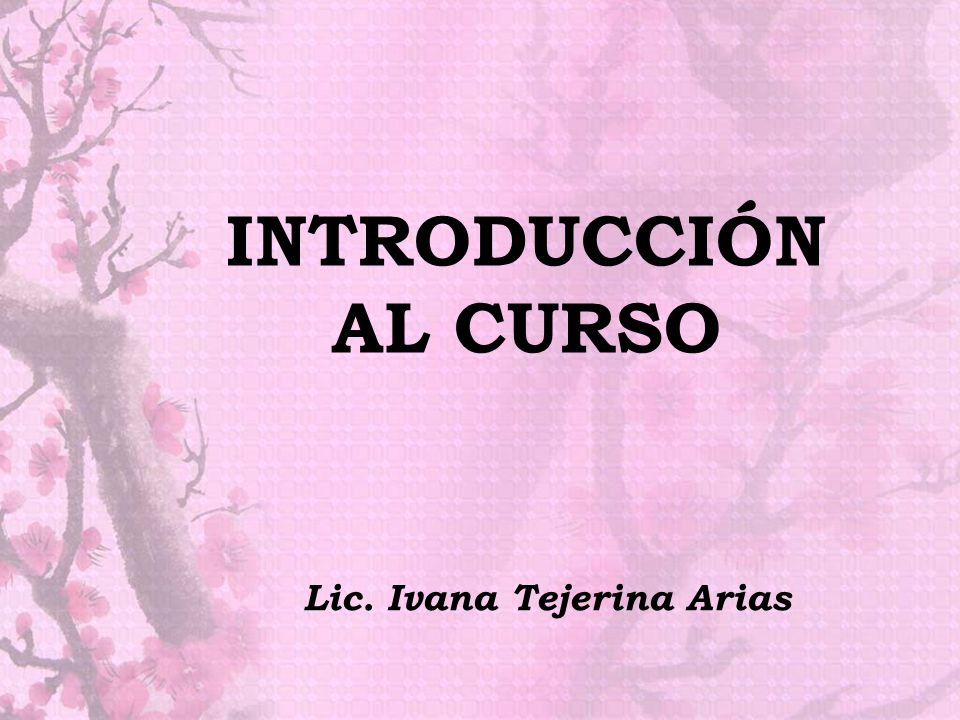 INTRODUCCIÓN AL CURSO Lic. Ivana Tejerina Arias