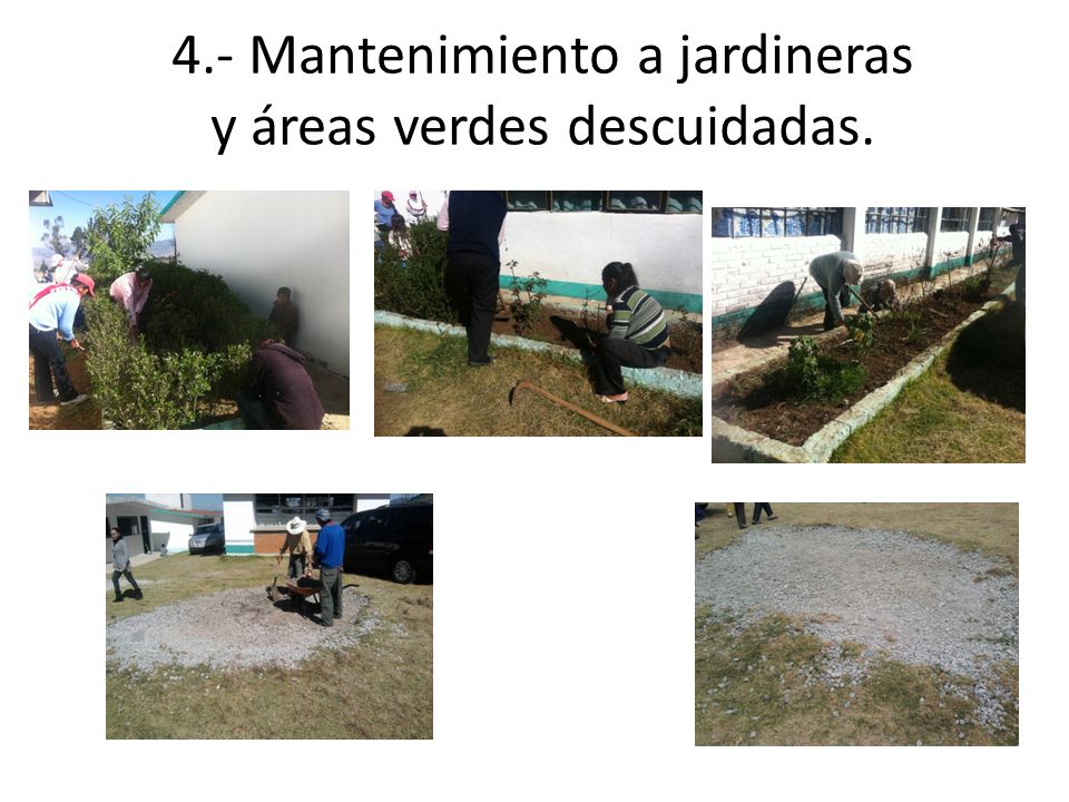 4.- Mantenimiento a jardineras y áreas verdes descuidadas.