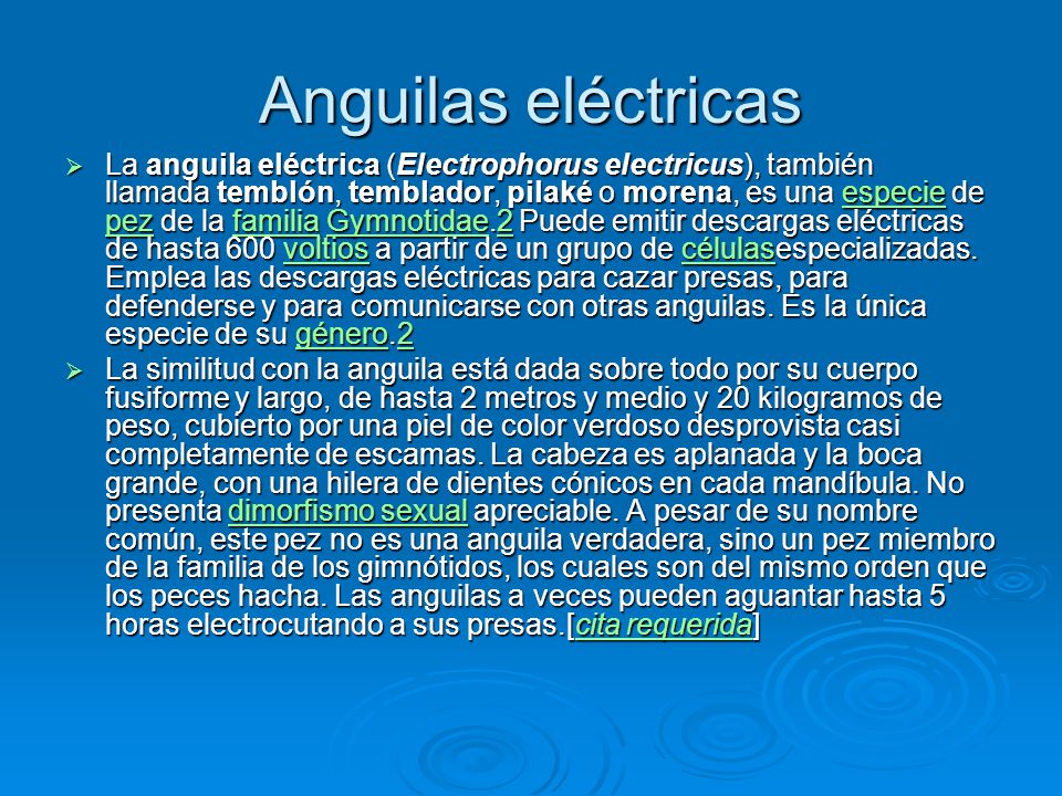 Electricidad Natural Anguilas Electricas O Peces Ppt Descargar