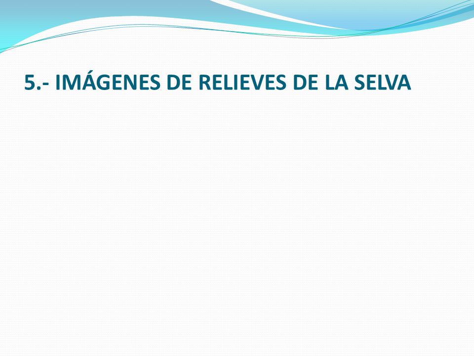 5.- IMÁGENES DE RELIEVES DE LA SELVA