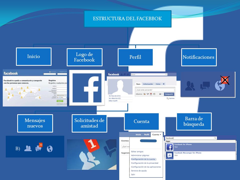 ESTRUCTURA DEL FACEBBOK Inicio Logo de Facebook PerfilNotificaciones Mensajes nuevos Solicitudes de amistad Cuenta Barra de búsqueda