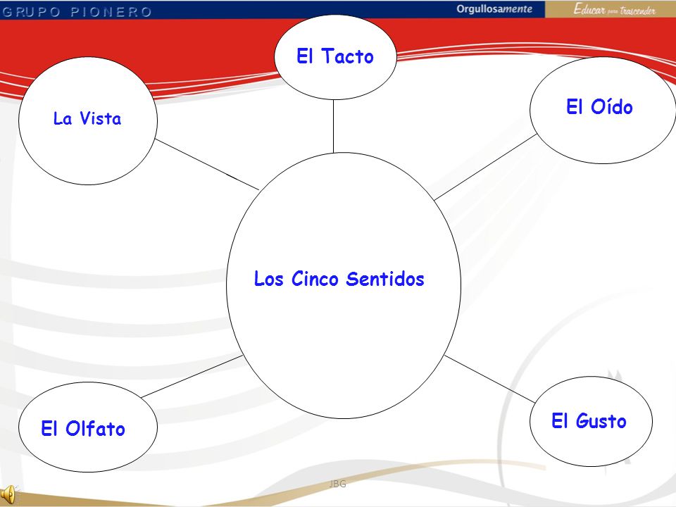 JBG Los Cinco Sentidos Sección Primaria Primer Año. - ppt descargar