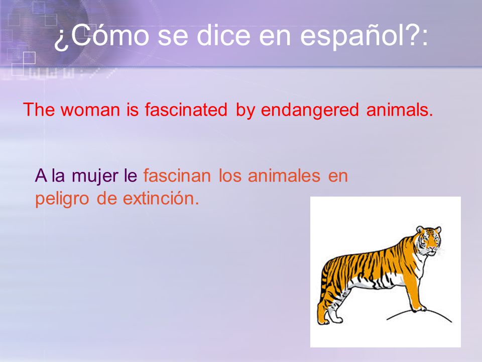 ¿Cómo se dice en español : The woman is fascinated by endangered animals.