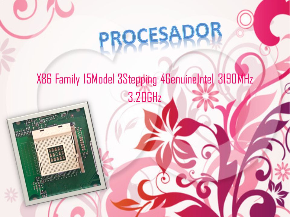 X86 Family 15Model 3Stepping 4GenuineIntel 3190MHz 3.20GHz