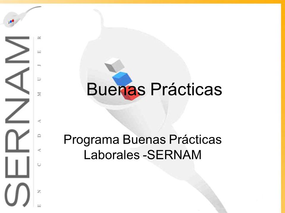 Buenas Prácticas Programa Buenas Prácticas Laborales -SERNAM