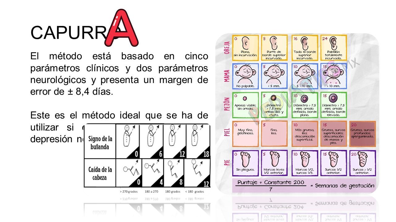 TEST DE CAPURRO. También Denominado MÉTODO CAPURRO, Es Utilizado Para ...