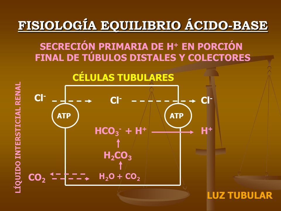 FisiologÍa Del Equilibrio Ácido Base Prof Dr Pedro Luis VÉliz