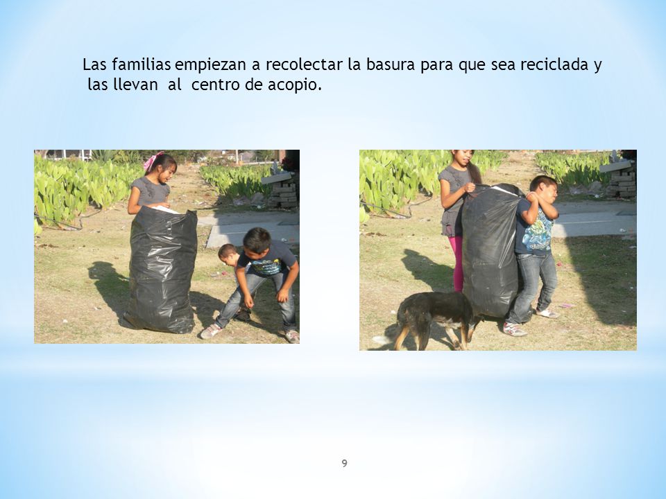 9 Las familias empiezan a recolectar la basura para que sea reciclada y las llevan al centro de acopio.