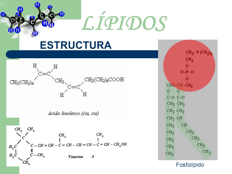 Quimica Organica Dra Yelitza Garcia Universidad Centroccidental
