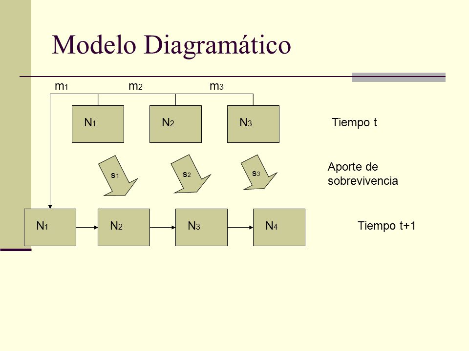 Modelos Matriciales Modelo de Leslie. Principios del modelo El modelo de  Leslie (1945) describe 3 Tipos de procesos ecológicos: Desarrollo (progreso  a. - ppt descargar