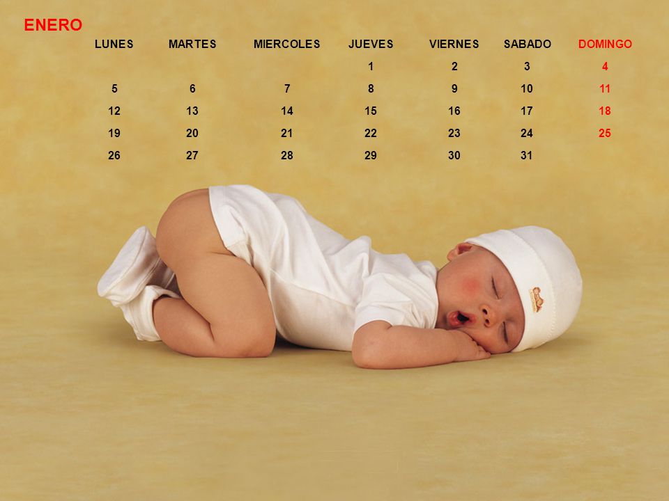 2009 Calendario