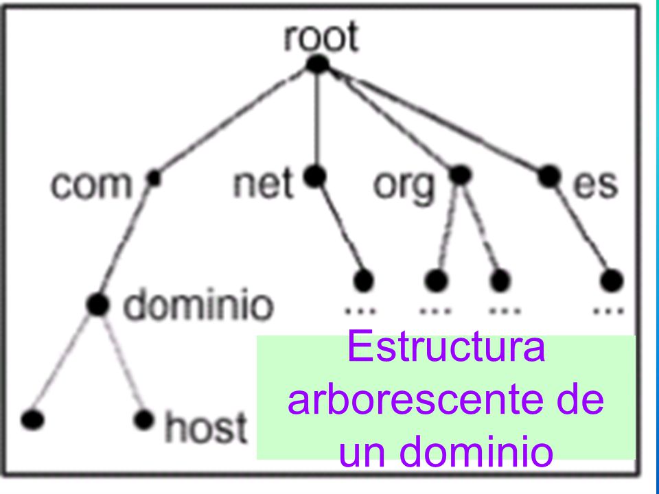 En este tipo de servidores existe el concepto de dominio, existiendo así el servicio de directorios llamado active diretory (directorio activo) donde se almacena toda la información de la red, integrando así todos los servicios de la red, como la gestión de nombres de dominio DNS así como el protocolo encargado de la asignación de direcciones dinámicas de la red, el protocolo DHCP.