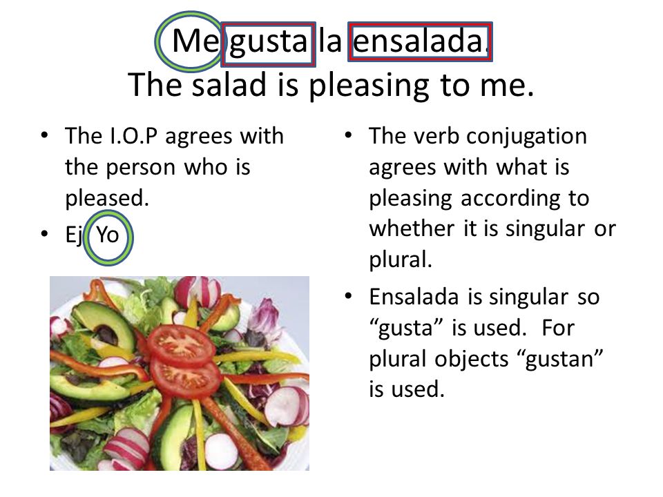 Me gusta la ensalada. The salad is pleasing to me.