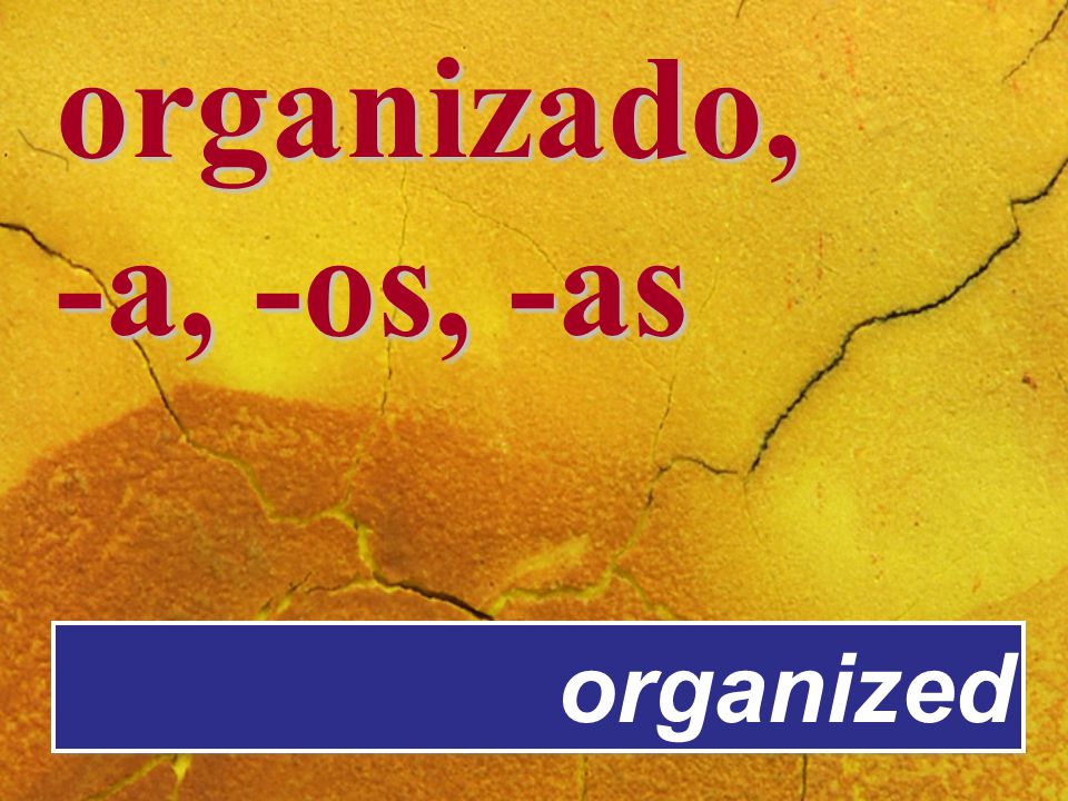 organizado, -a, -os, -as organized