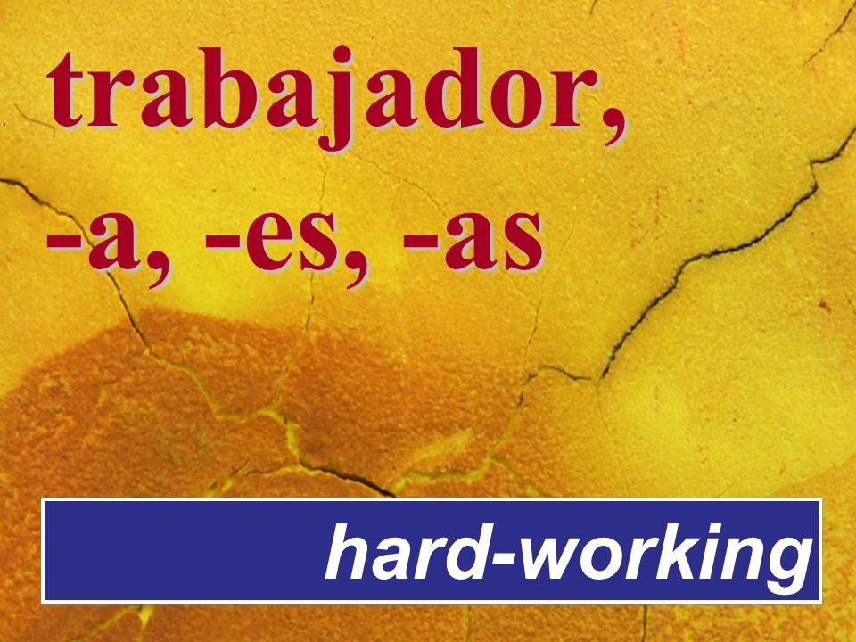 trabajador, -a, -es, -as hard-working