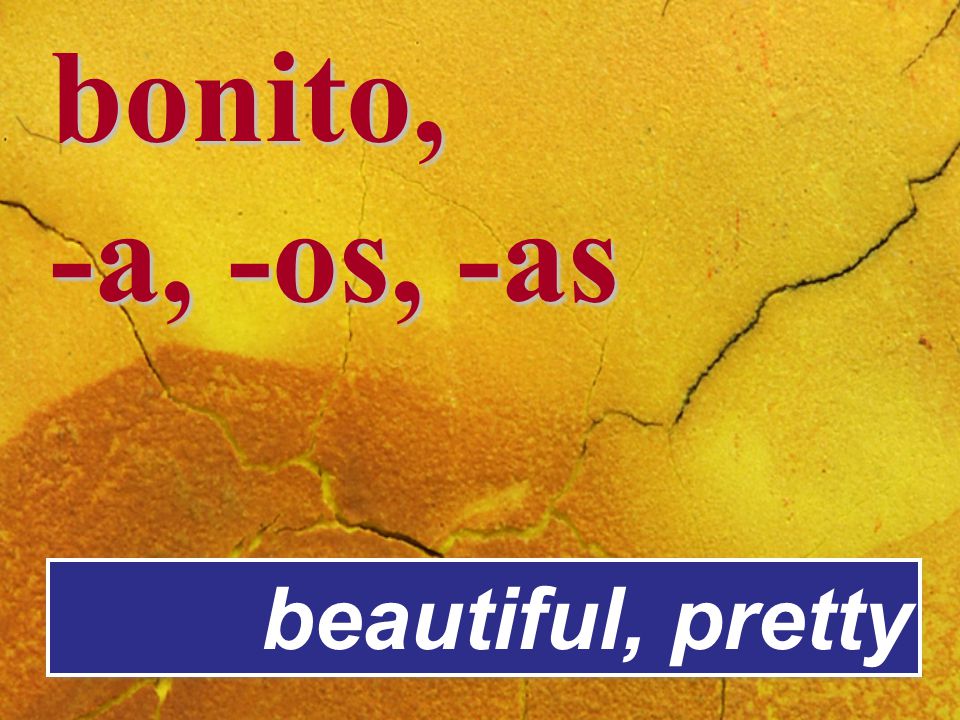 bonito, -a, -os, -as beautiful, pretty