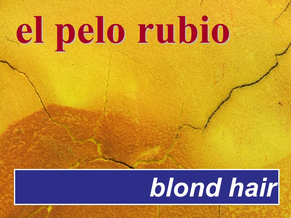el pelo rubio blond hair